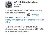 iOS 11.2.5 Beta 1