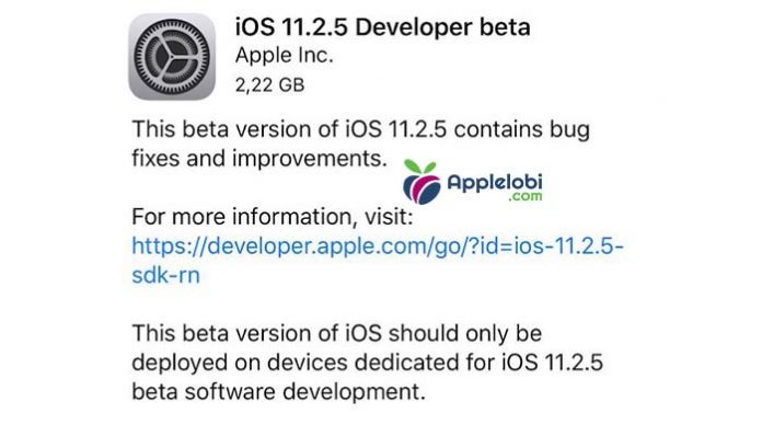 iOS 11.2.5 Beta 1