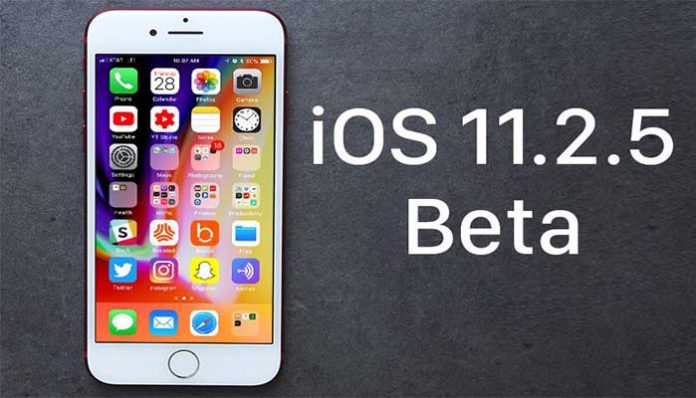 iOS 11.2.5 Beta 2 surumu guncellemesi