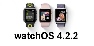 watchOS 4.2.2 Beta 1