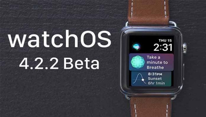 watchOS 4.2.2 Beta 5 guncellemesi